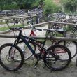 ferienwohnung_buchentraum14_prerow_fahrrad parkplatz am weststrand